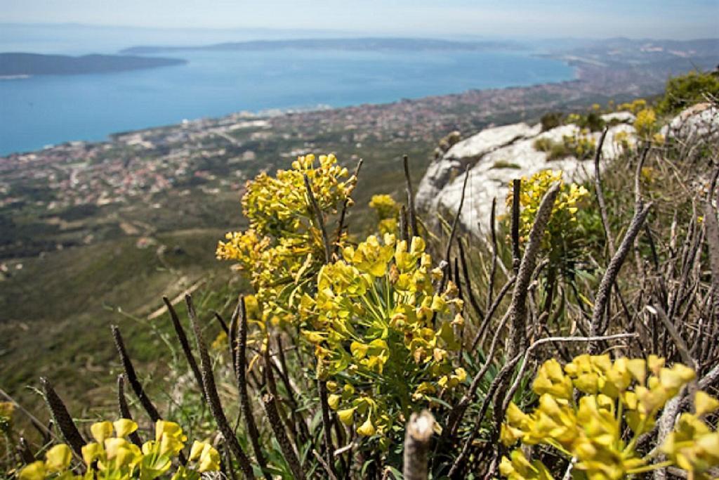 Apartmani Strada Kastela Exterior photo